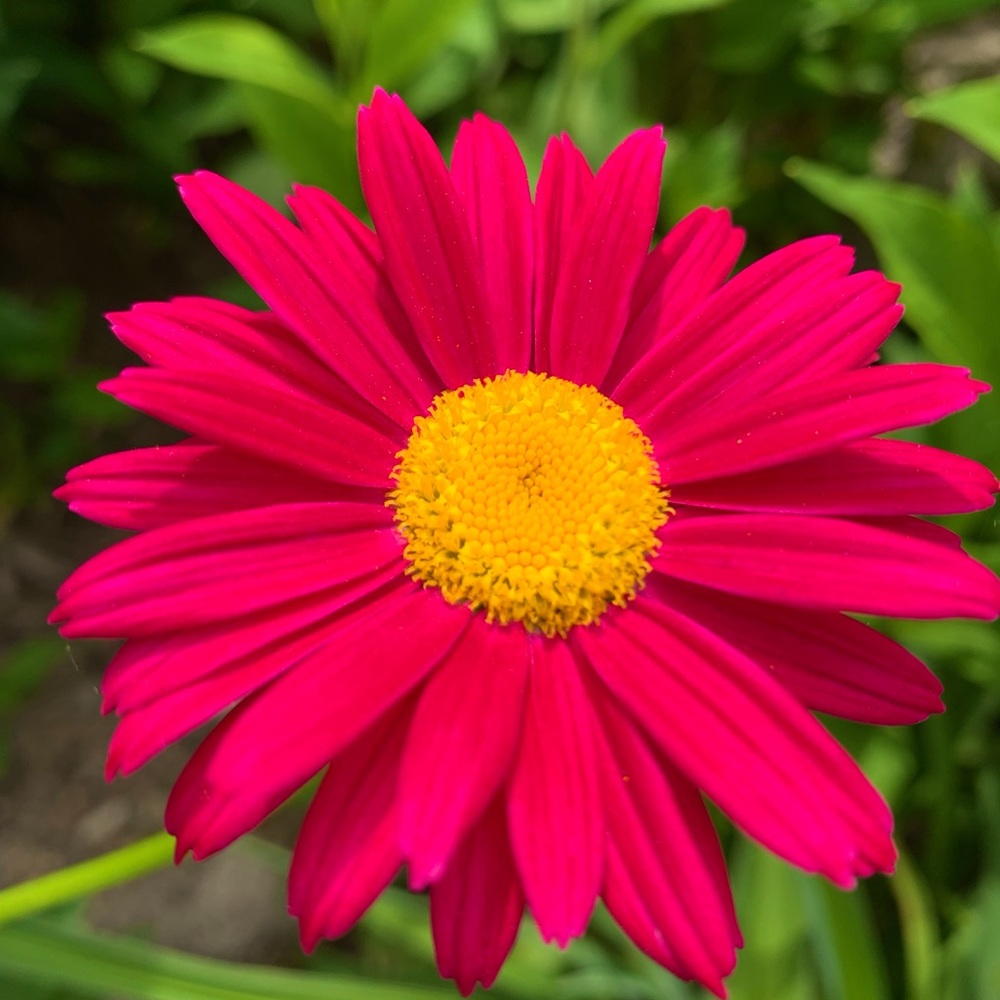 Meet your Posher, Gail